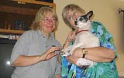 Shirley, Annie & Adopter